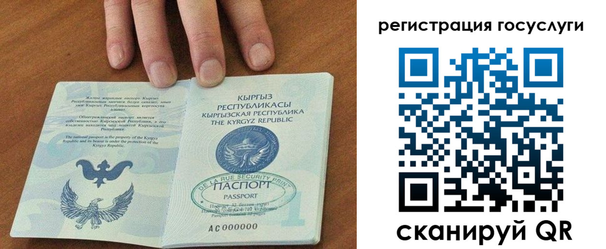 прописка ребенка в Вельске